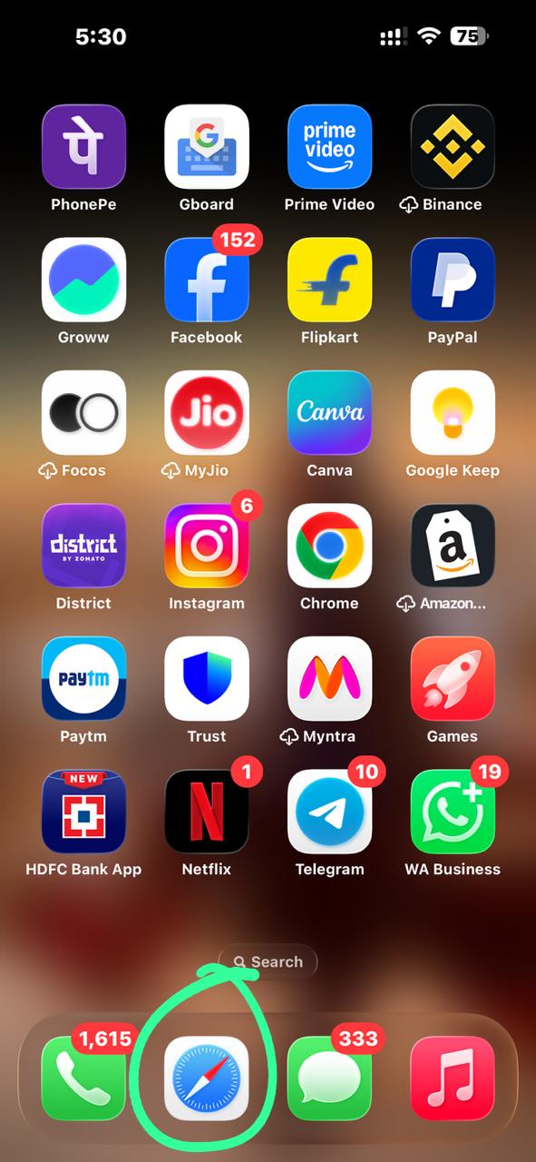 Open safari